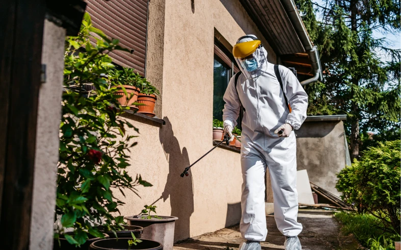 Person in protective gear spraying garden